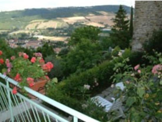B&B Il Colle Serra San Quirico Esterno foto